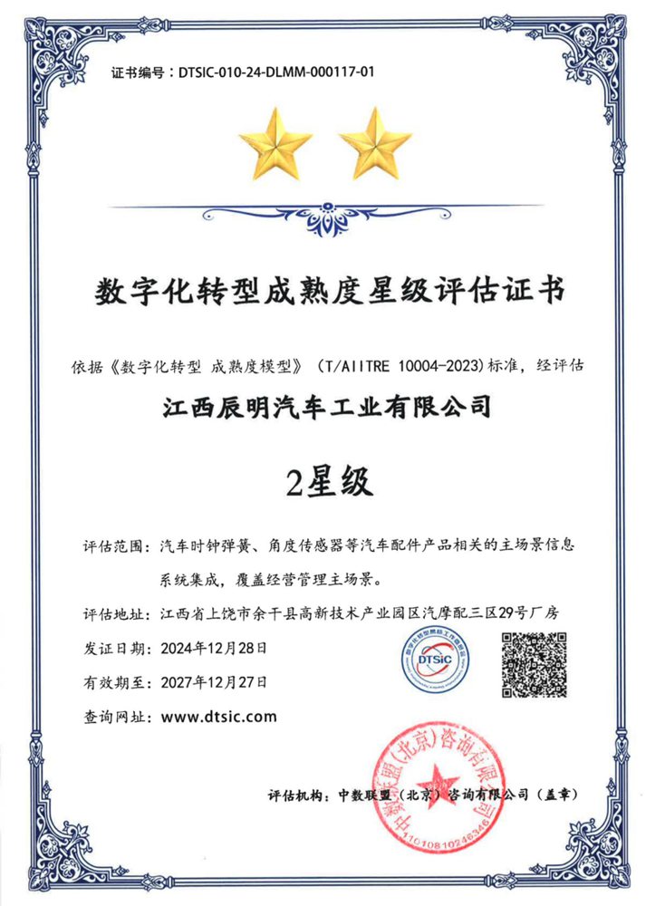 Digital transformation maturity 2-star assessment certificate